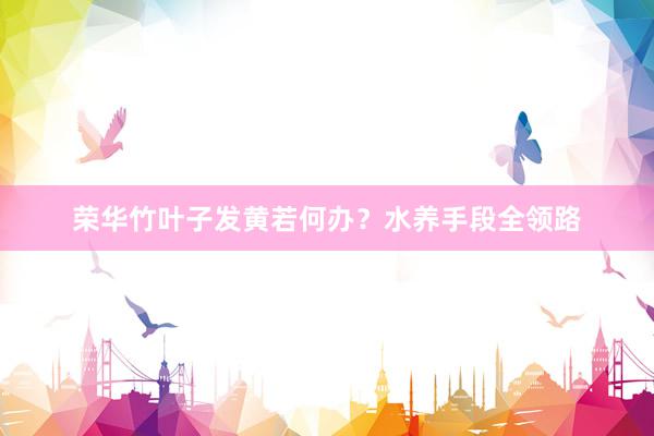 荣华竹叶子发黄若何办？水养手段全领路