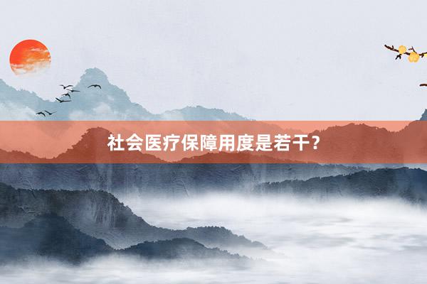 社会医疗保障用度是若干？